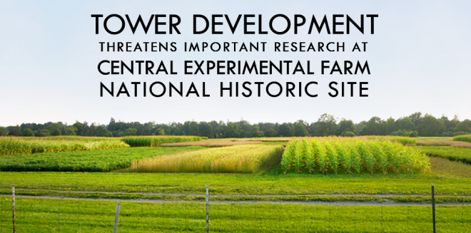 central experimental farm