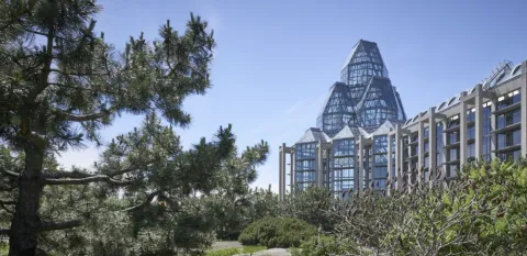 Art and Nature - Landscapes of Cornelia Oberlander, September 14, 2025 at 2 pm (Photo credit: National Gallery of Canada)