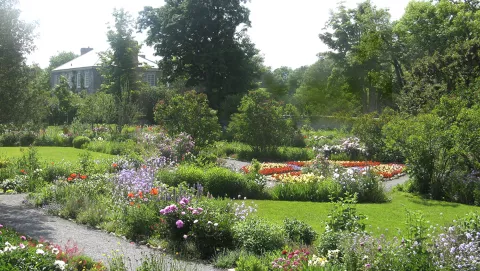 The historic walled garden at Maplelawn in bloom.